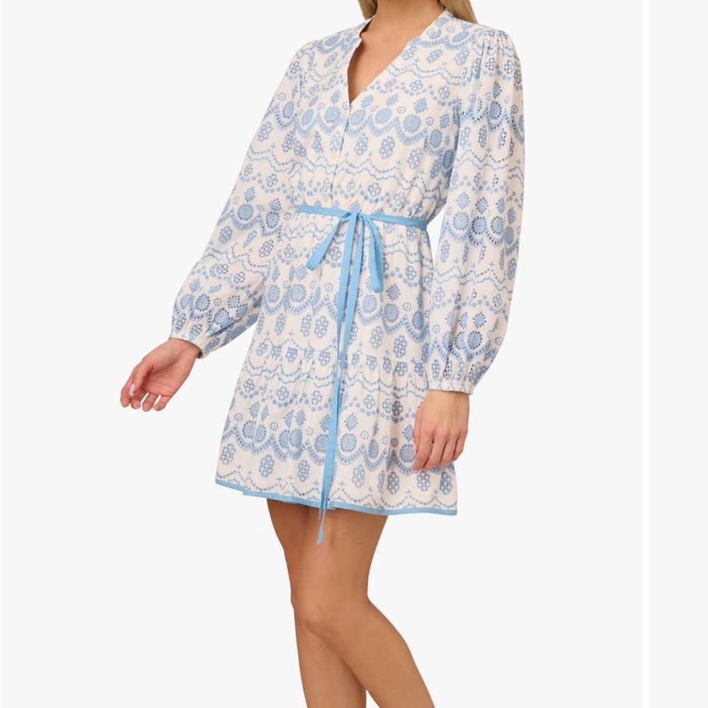 Adrianna Papell Blue and White Dress